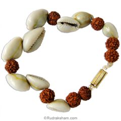  Rudraksha-Kauri Bracelet