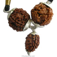  Shigra Vivah Power Pendant | 2 Mukhi Rudraksha, 5 Mukhi Rudraksha And 7 Mukhi Rudraksha Combination Pendant In Silver | For Early Marriage