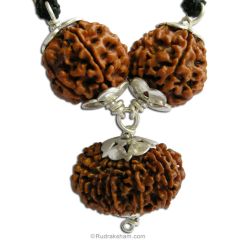  Vashikaran Power Pendant | For Attraction and Charishma, a combination of 6 Mukhi Rudraksha with 13 Mukhi Rudraksha bead in silver pendant