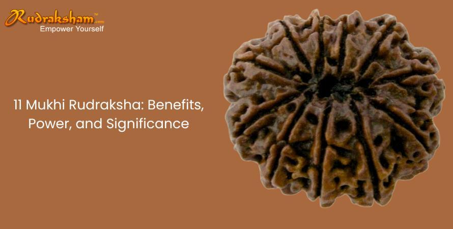 11 Mukhi Rudraksha: Benefits, Power, and Significance